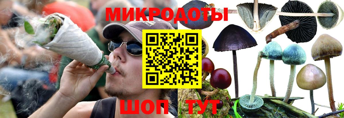 Галлюциногенные грибы GOLDEN TEACHER Губкинский